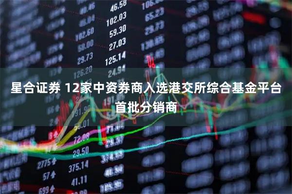 星合证券 12家中资券商入选港交所综合基金平台首批分销商