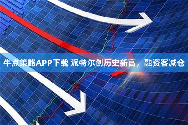 牛点策略APP下载 派特尔创历史新高，融资客减仓